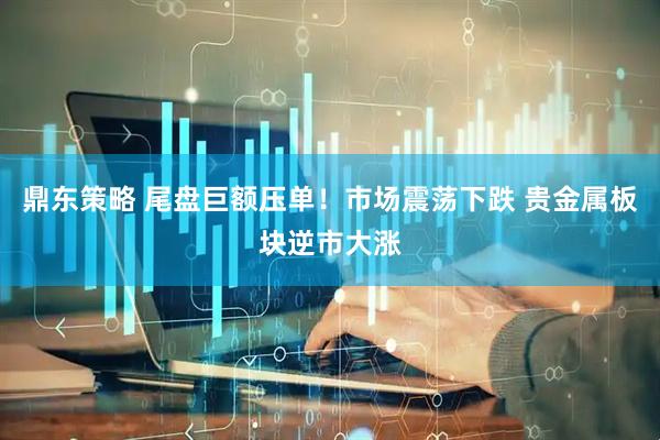 鼎东策略 尾盘巨额压单！市场震荡下跌 贵金属板块逆市大涨