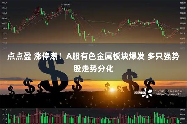 点点盈 涨停潮！A股有色金属板块爆发 多只强势股走势分化