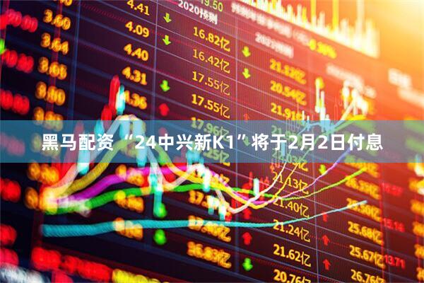 黑马配资 “24中兴新K1”将于2月2日付息