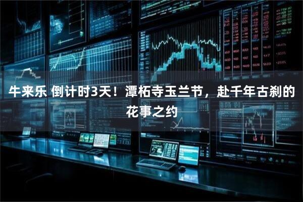 牛来乐 倒计时3天！潭柘寺玉兰节，赴千年古刹的花事之约